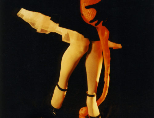 Marcelle van Bemmel, ‘Perseus’ shield’ (croquet), 1987. Courtesy of the Artist.